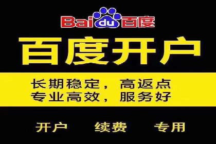 百度竞价推广如何助力实现品牌与销售的双重增长